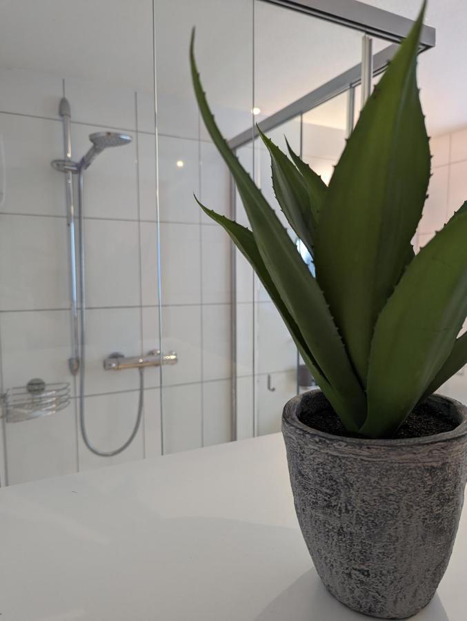 Ferienwohnung Apimundi Lauterach Bagian luar foto